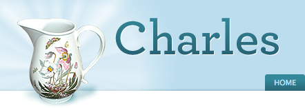 frontrend4-charles.png Charles